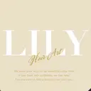 Lily 本店 井階のプロフィール画像