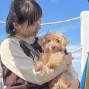 saki／knock 🐶🎀➳のプロフィール画像