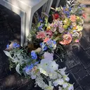 メルシエ 中川のプロフィール画像