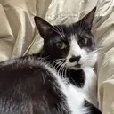 Levia 酒井のプロフィール画像