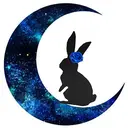 Lapin lunaireのプロフィール画像