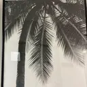 Lilly‘s Miのプロフィール画像