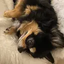 REY Mioのプロフィール画像