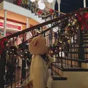 𝑆𝑎𝑜𝑟𝑖 🦋💎のプロフィール画像