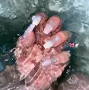 Luna 烏丸店 樹里のプロフィール画像