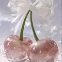 new moon 森のプロフィール画像