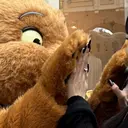 🌙 shionのプロフィール画像