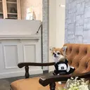 Ｌｅ Ｍｉｅｕｘ みなみのプロフィール画像