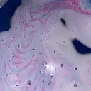 土屋 結奈のプロフィール画像