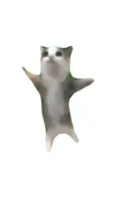 吉濱 廣海のプロフィール画像