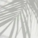 マキア近江八幡店 和田のプロフィール画像