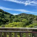 大原 めぐみのプロフィール画像