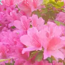 Kimura. Kのプロフィール画像