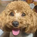 ✴︎Cheek✴︎ Mizukiのプロフィール画像