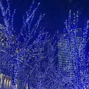 高橋 響のプロフィール画像