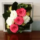 メナードフェイシャル サロン中田南店のプロフィール画像