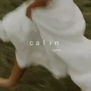 calin bysoeのプロフィール画像