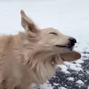 森 千尋のプロフィール画像