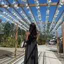 Girasol ヒラソルのプロフィール画像