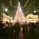 Takuma ⭐️透明感カラーのプロフィール画像