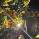 SEIKA 🌼*･のプロフィール画像