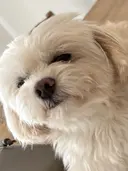 owlnail /持込みデザイン専門のプロフィール画像