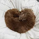 RIKA *のプロフィール画像