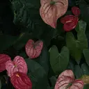 長井 遥のプロフィール画像