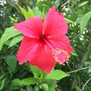 鈴木 修子のプロフィール画像