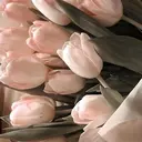 杉浦 亜実のプロフィール画像