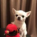 山口 博司のプロフィール画像