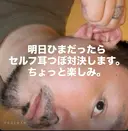 x8em _kのプロフィール画像