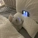 hayun MISAKIのプロフィール画像