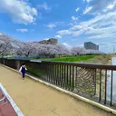 SASAO Nのプロフィール画像