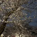 吉野 諒のプロフィール画像