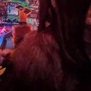 大林 美優のプロフィール画像