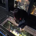 Shimazaki .のプロフィール画像