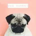 嶋田 由唯のプロフィール画像