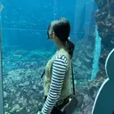 HAYASAKA 韓国風/束感/パリのプロフィール画像