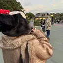 H eyelash Yuna⟡.·のプロフィール画像