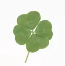 笠原 凪のプロフィール画像