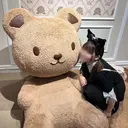 bloom 美海🪽‪🫧のプロフィール画像