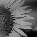 エーナイン東雁来店 北村のプロフィール画像