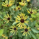 bs-nail 羽田野のプロフィール画像