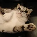 avec amour 🚃JR豊田駅3分のプロフィール画像