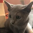 伊東 由佳のプロフィール画像