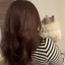 lettie🎀 京都ガーリーネイルのプロフィール画像