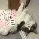 Sun Nail池袋 _Irisのプロフィール画像