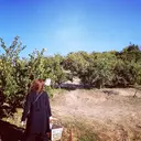 ROUN' 齋藤のプロフィール画像