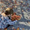 野々部 いろかのプロフィール画像